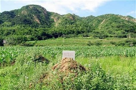 祖坟风水|墓地风水对后代的影响